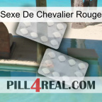 Red Knight Sex 17